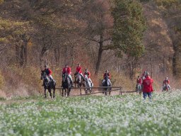 IMG_9703web